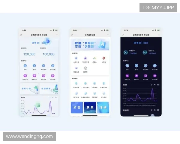 问鼎中文站：提升网站加载速度和移动端体验实现用户满意度的全面提升