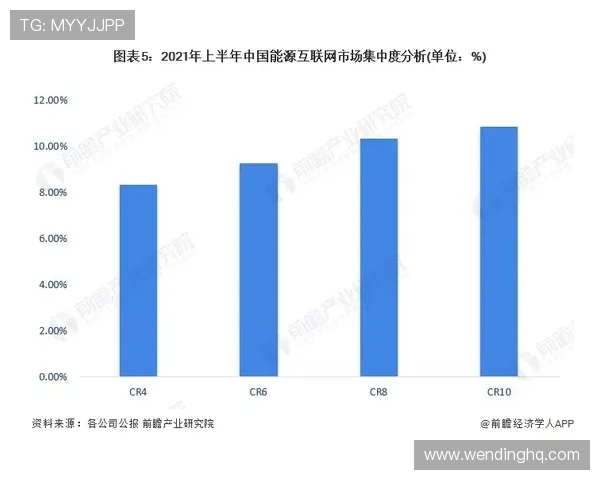 问鼎官网：深入分析企业核心竞争力与市场布局